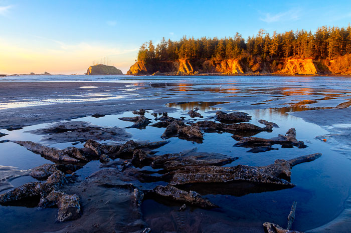 Shore Acres and Sunset Bay State Park