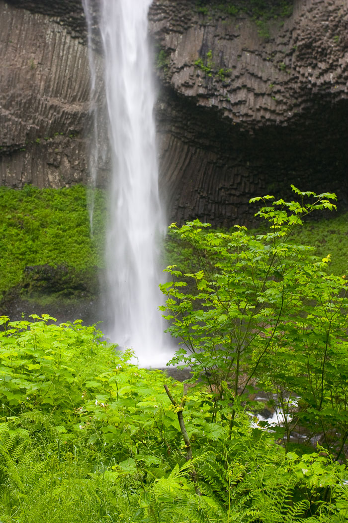 Columbia Gorge Falls Area