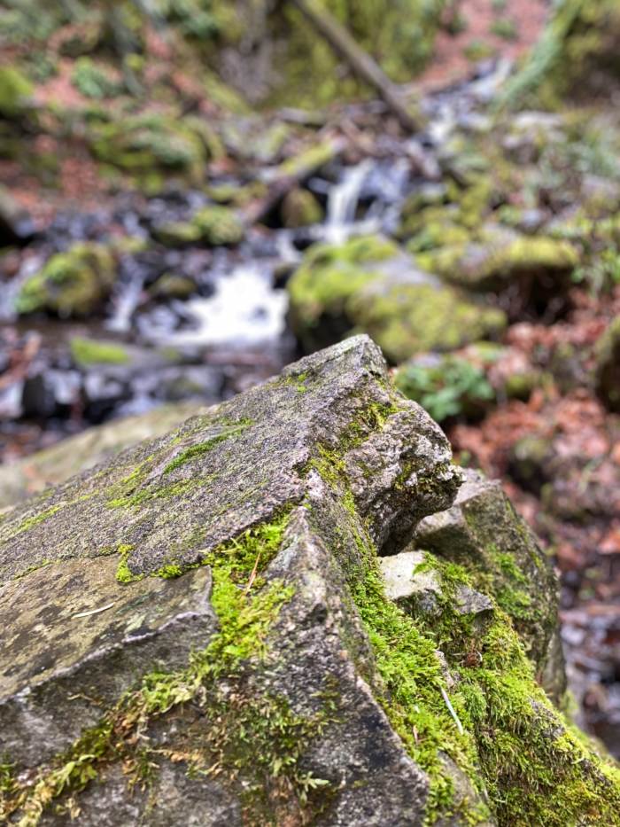 Columbia Gorge Falls Area