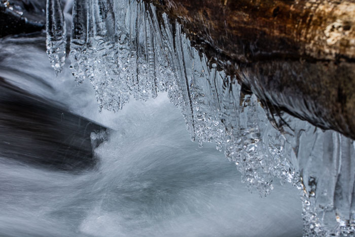 Chasing Ice