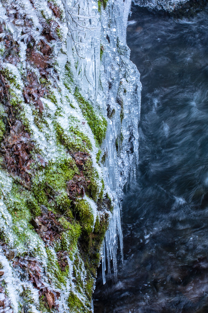 Chasing Ice