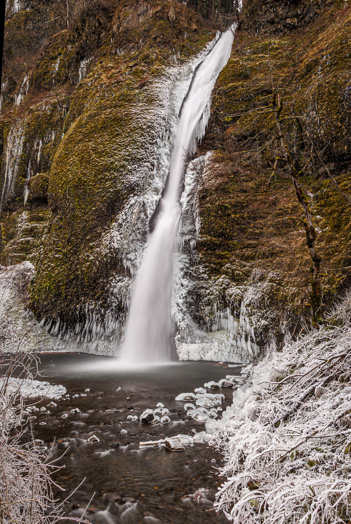 Chasing Ice