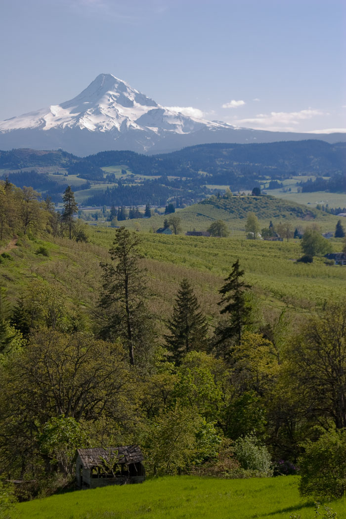 Hood River Valley