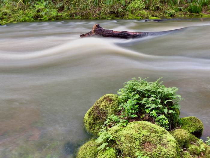 Lacamas Lake Regional Park