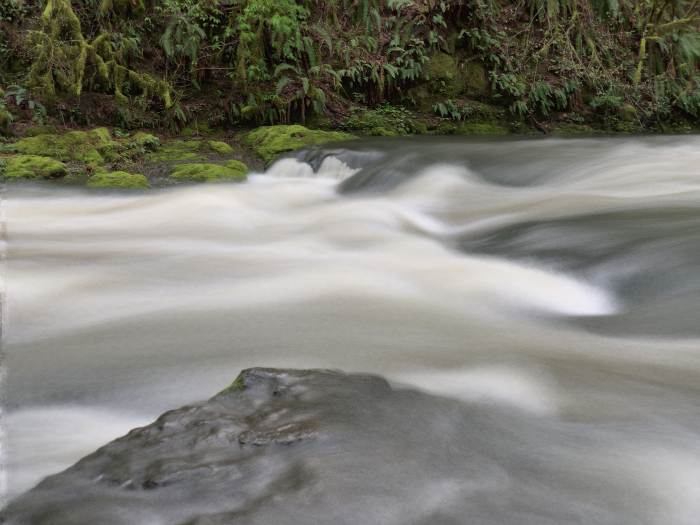 Lacamas Lake Regional Park
