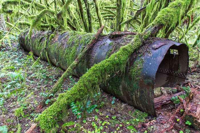 Palmeer Mill Road area