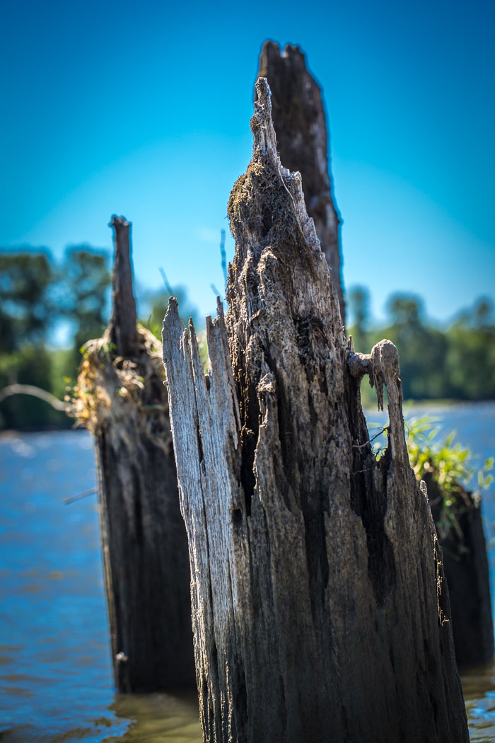 Scapoose Bay
