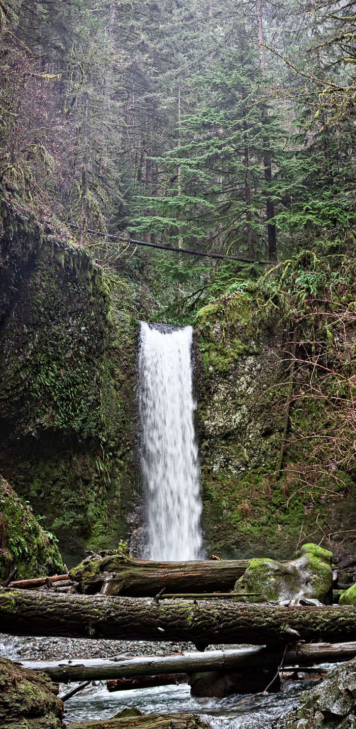 Larch Mountain trail and Christmas Trail