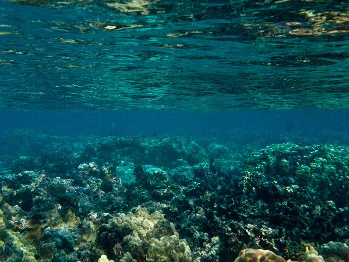 Waiopae Kapoho tide pools