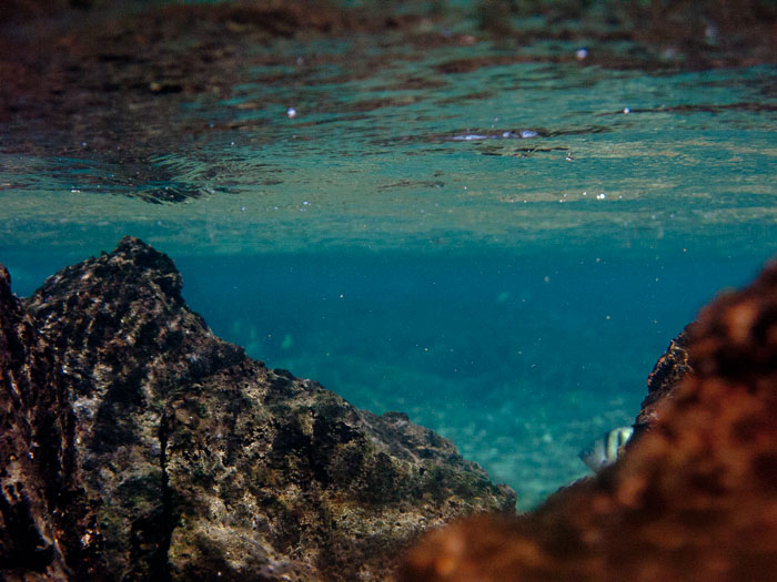 Waiopae Kapoho tide pools