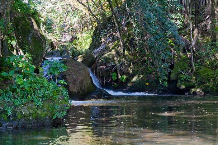 North Kohala, Hāmākua,Hāmākua, North Hilo Districts