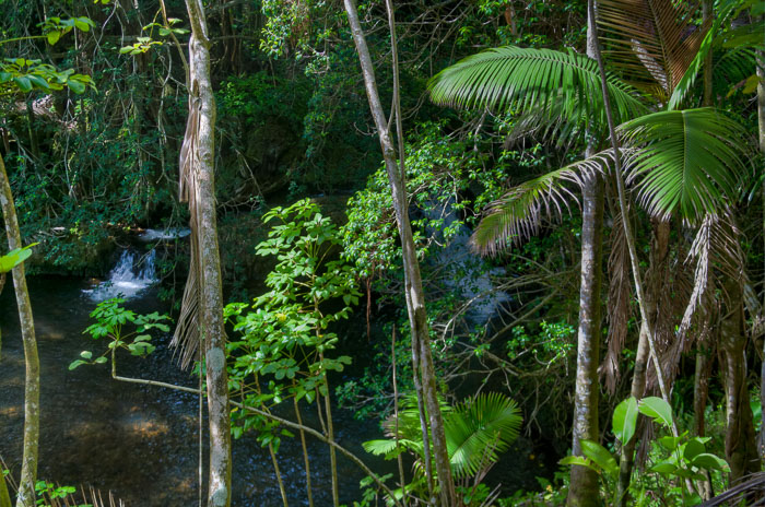 North Kohala, Hāmākua,Hāmākua, North Hilo Districts