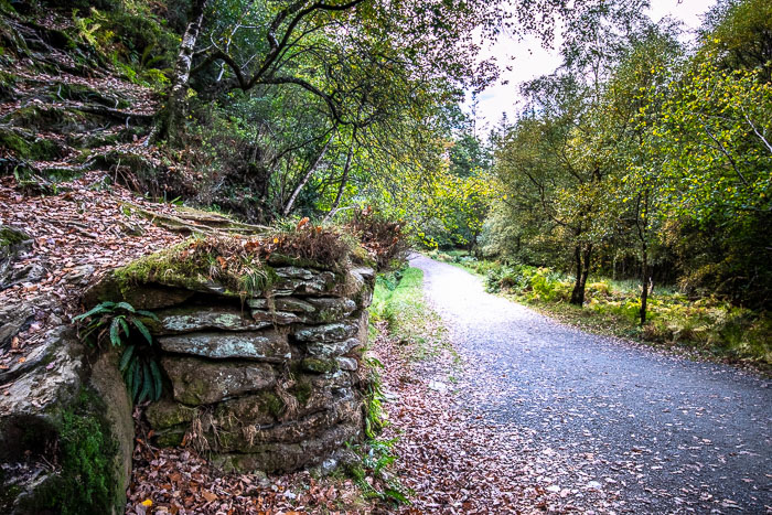 Glendalough Glendalough