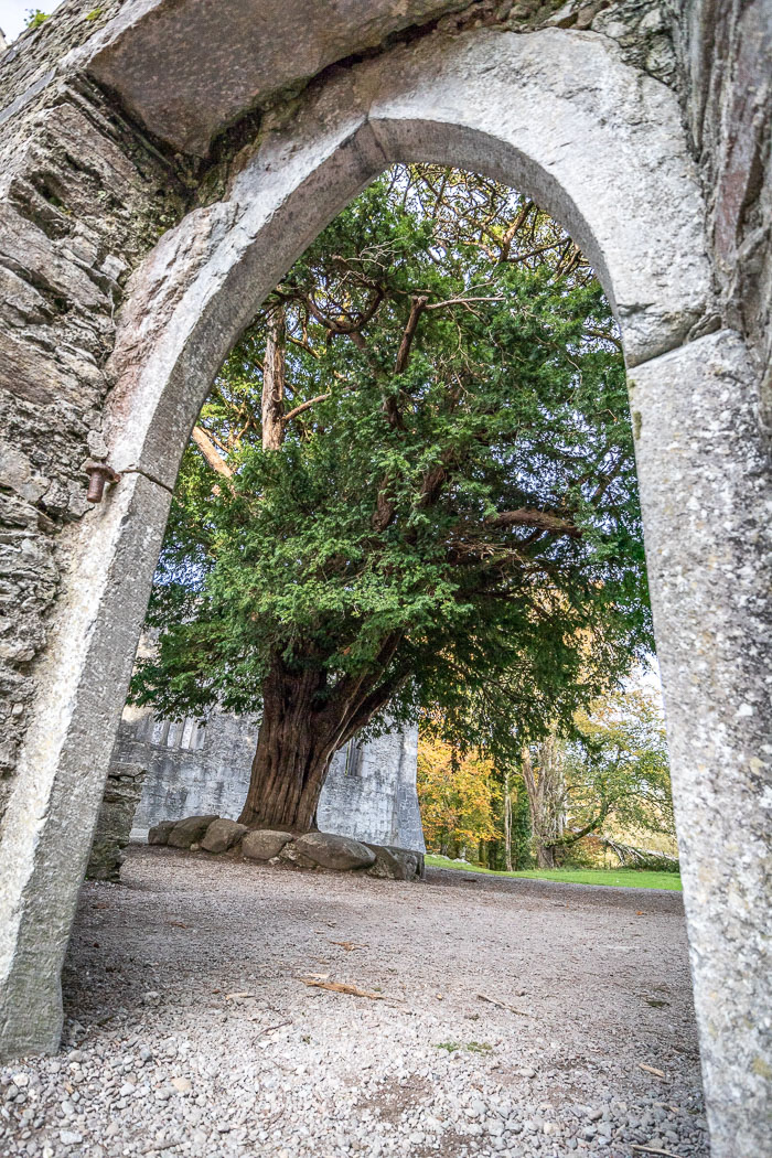 Muckross Peninsula