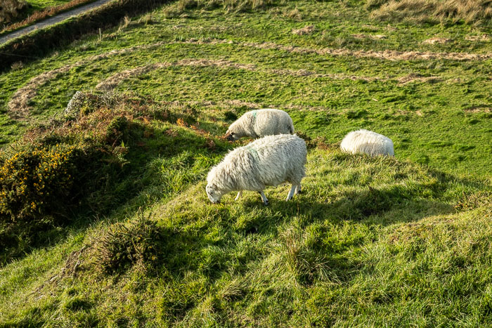 Ring of Kerry