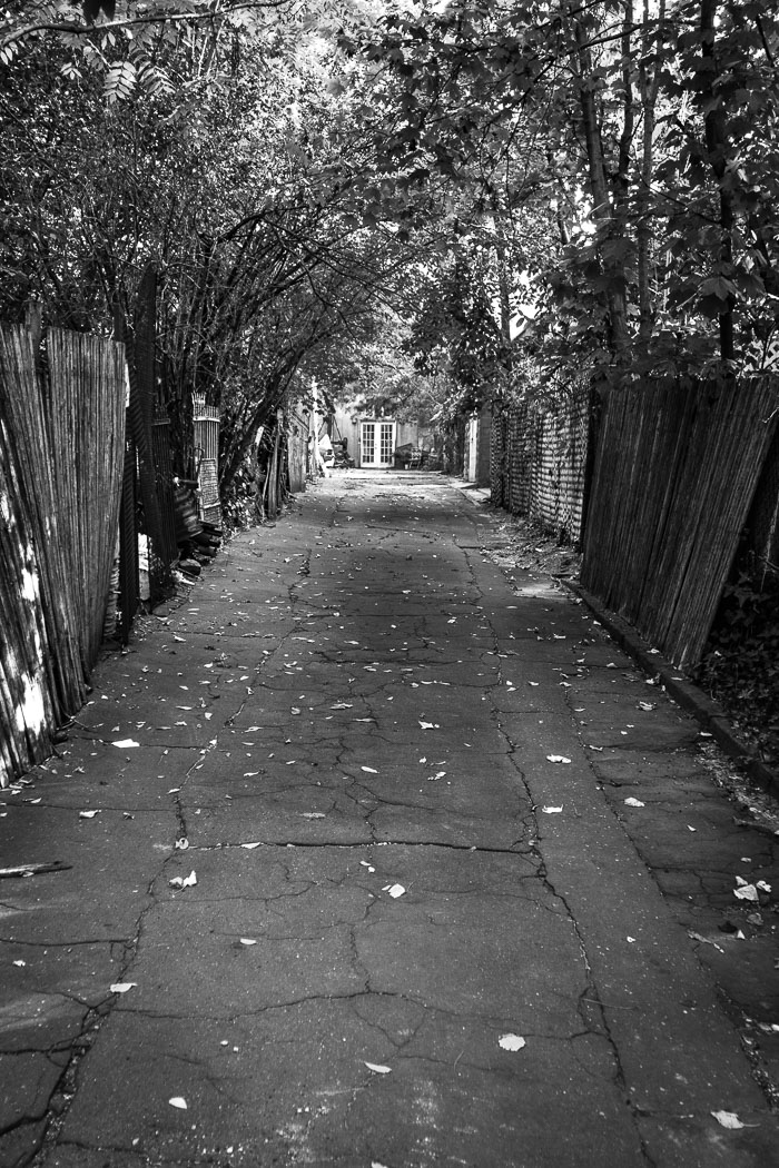 Monochromatic New York