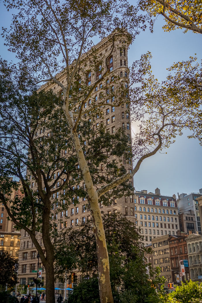 New York Architecture