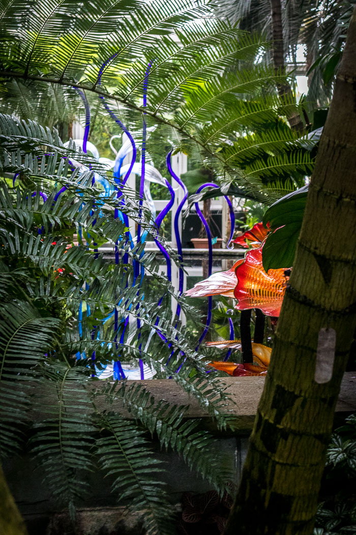 New York Botanical Gardens