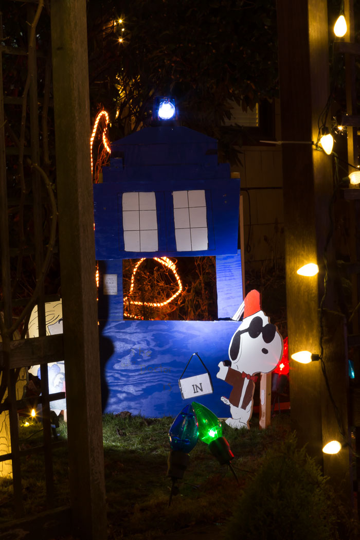 Holiday Lights