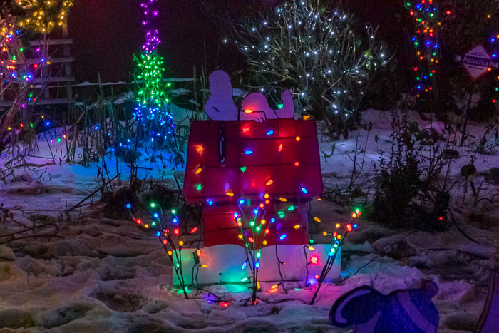Holiday Lights
