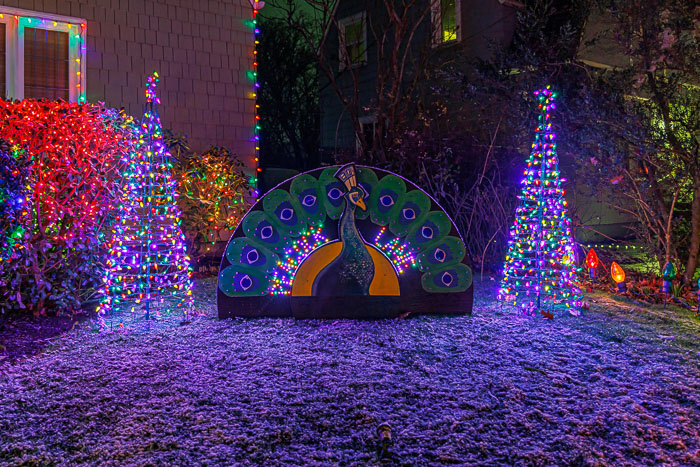 Holiday Lights