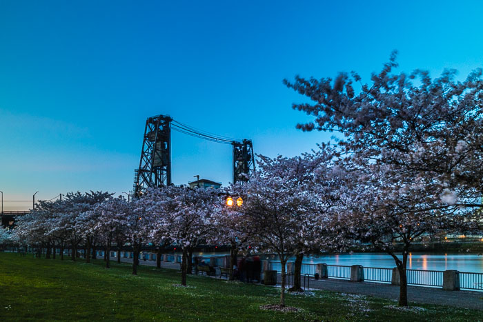 Portland After Dark
