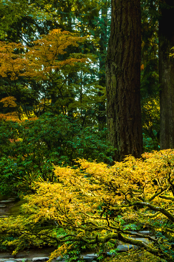 Portland Japanese Gardens