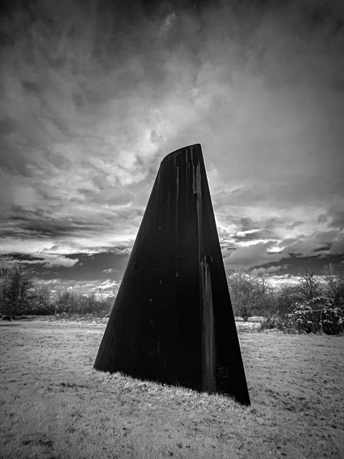 Seattle Photo Safari