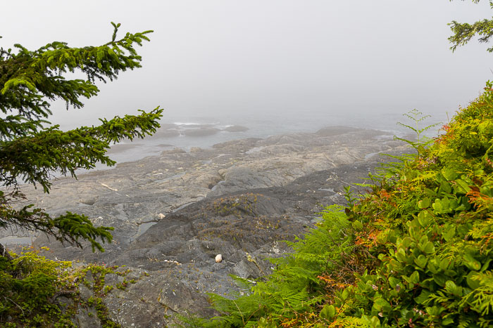 Botanical Beach