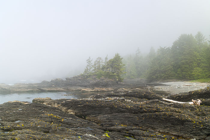 Botanical Beach