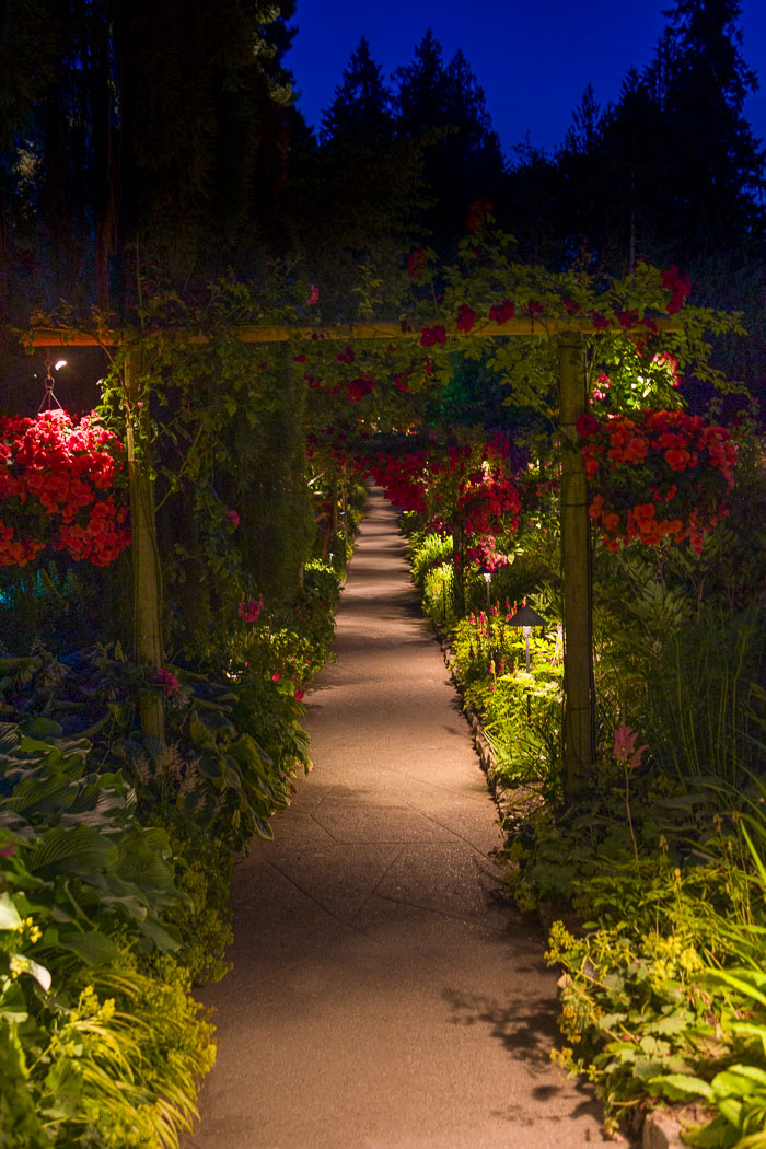 Buchart Gardens After Dark