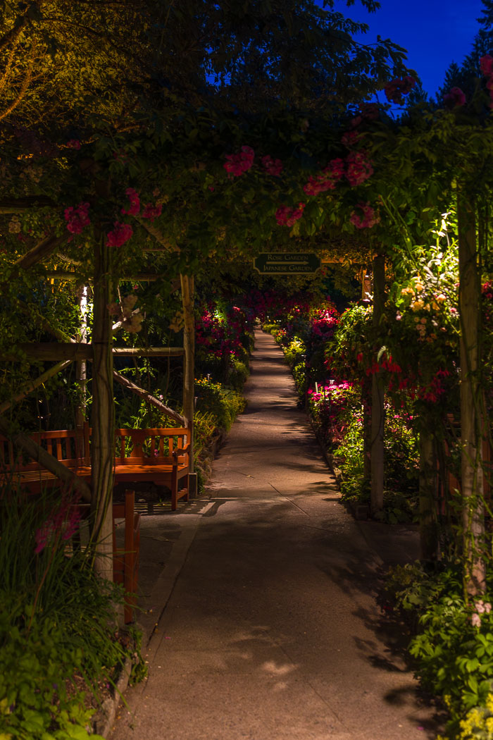 Buchart Gardens After Dark
