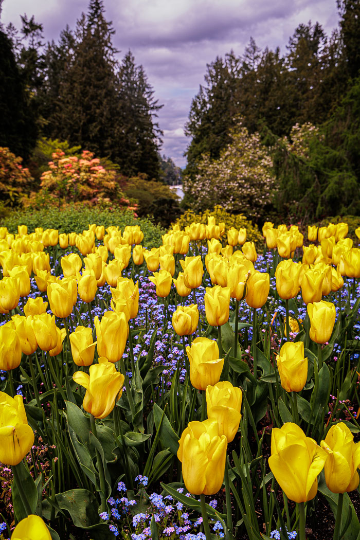 Buchart Gardens