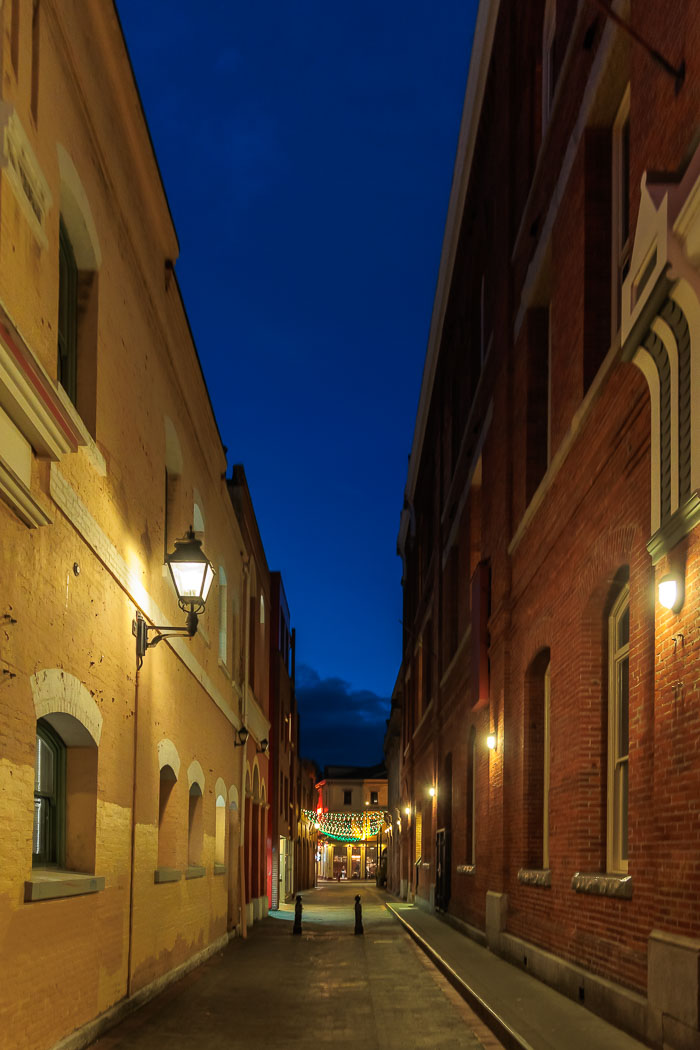 Victoria After Dark