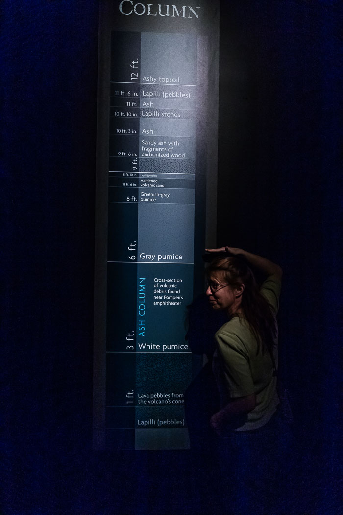 Pompeii Exhibition 