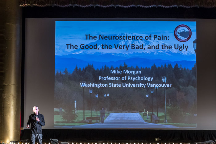 20170614 The Neuroscience of Pain